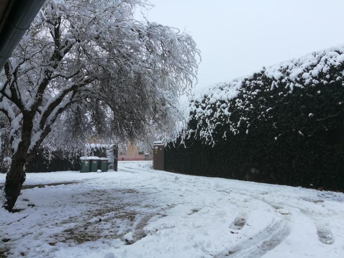 Szent István Panzió Hódmezővásárhely Exterior foto